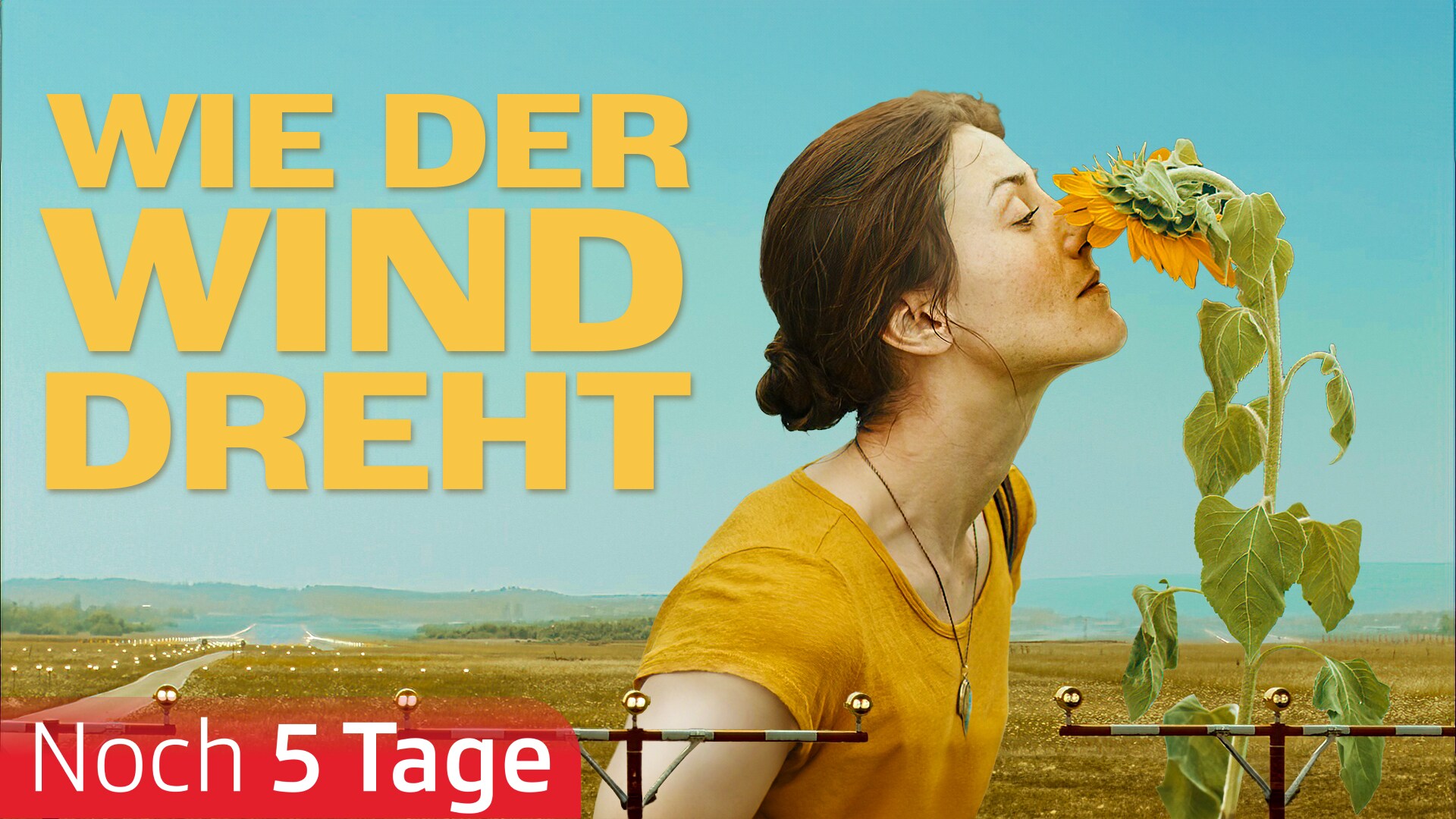 Wie der Wind dreht