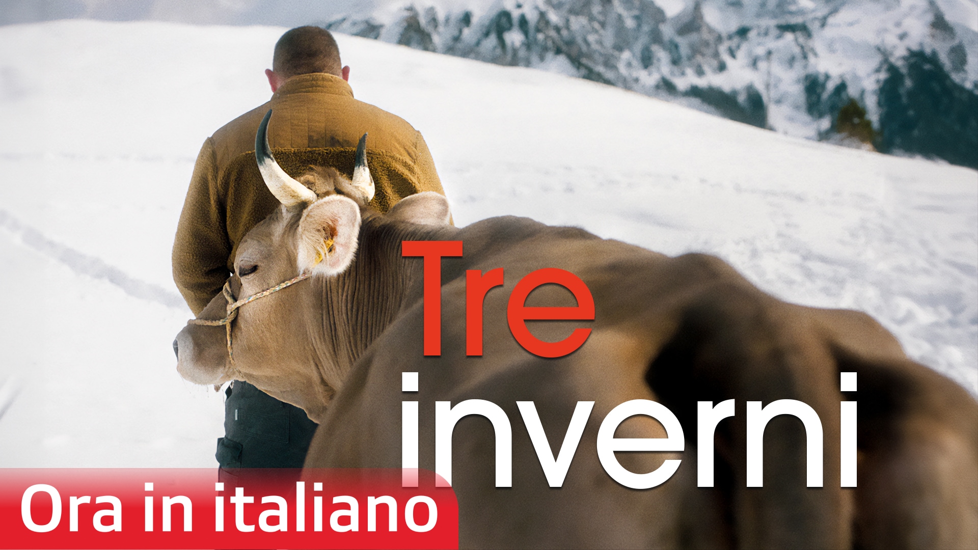 Tre inverni