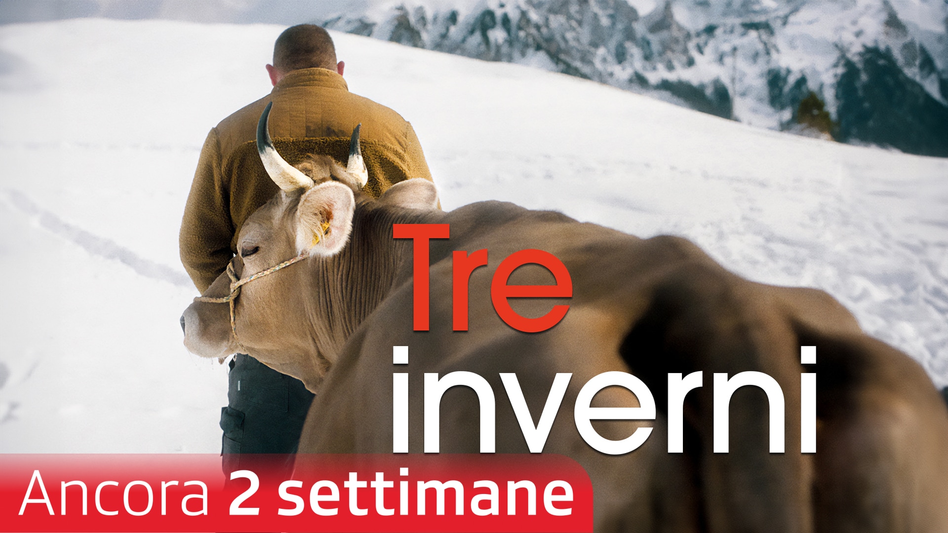 Tre inverni