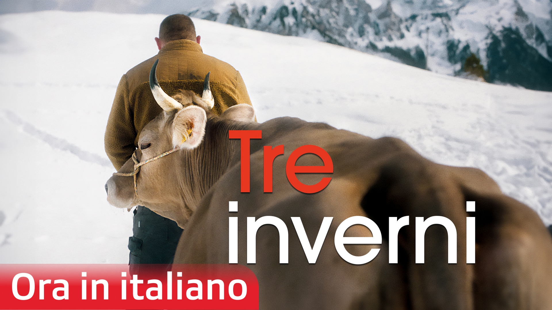 Tre inverni
