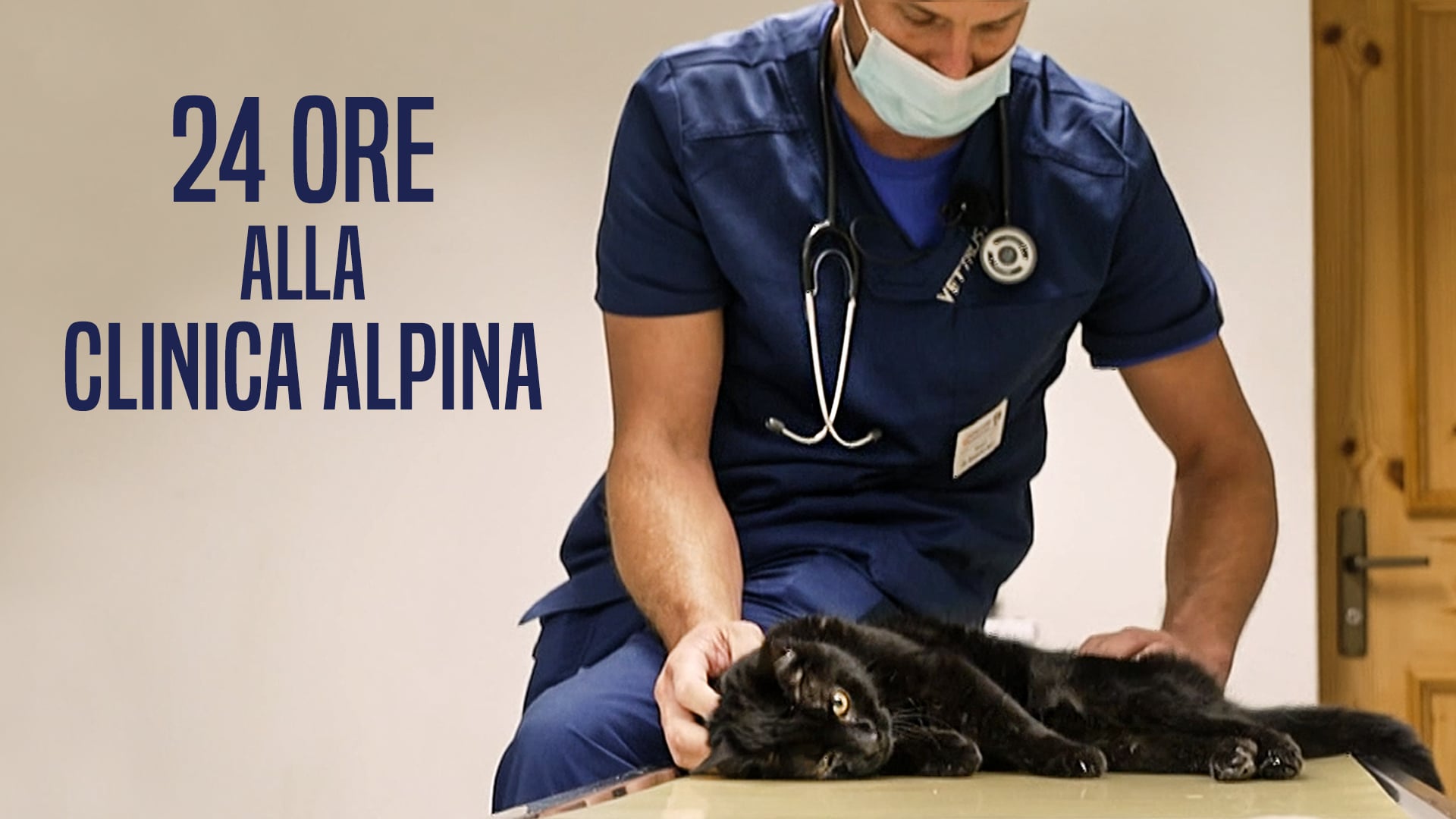 24 ore alla Clinica Alpina