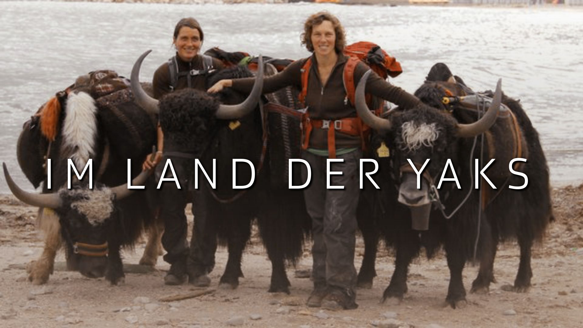 Im Land der Yaks