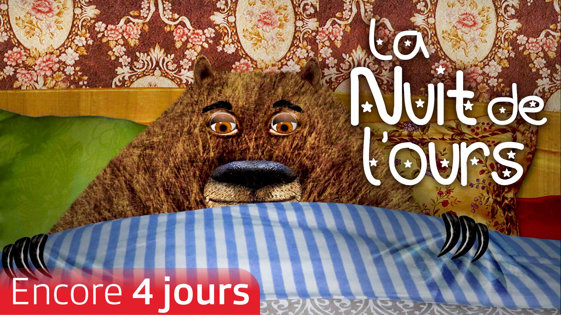 La nuit de l'ours