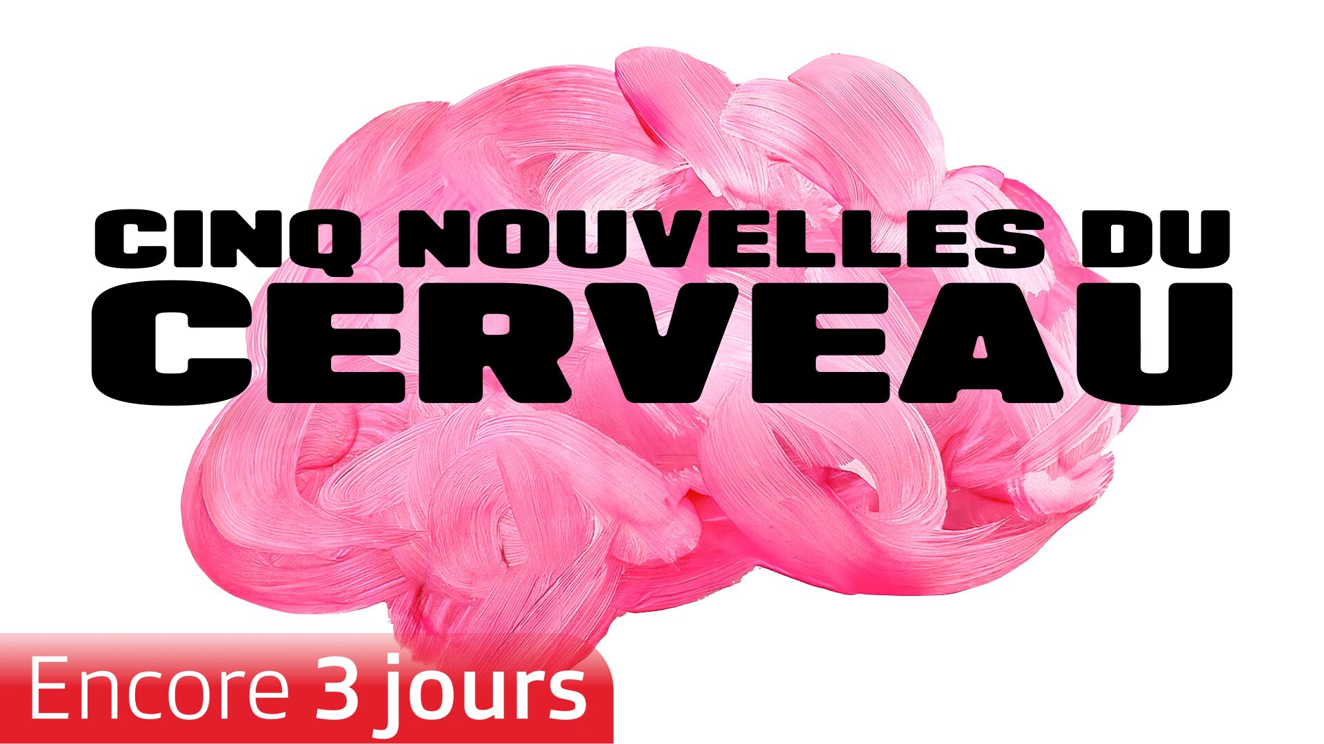 Cinq nouvelles du cerveau