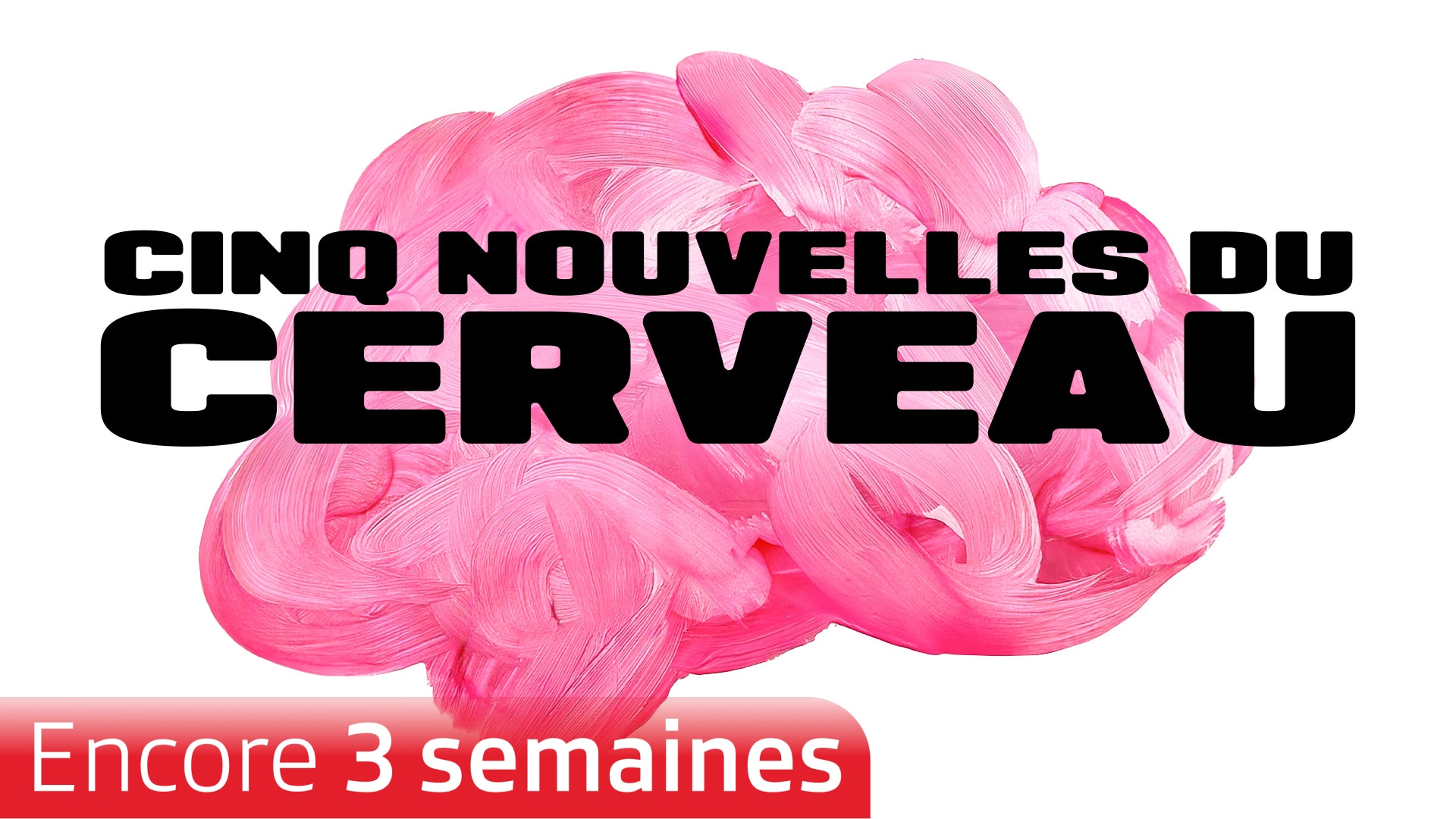 Cinq nouvelles du cerveau