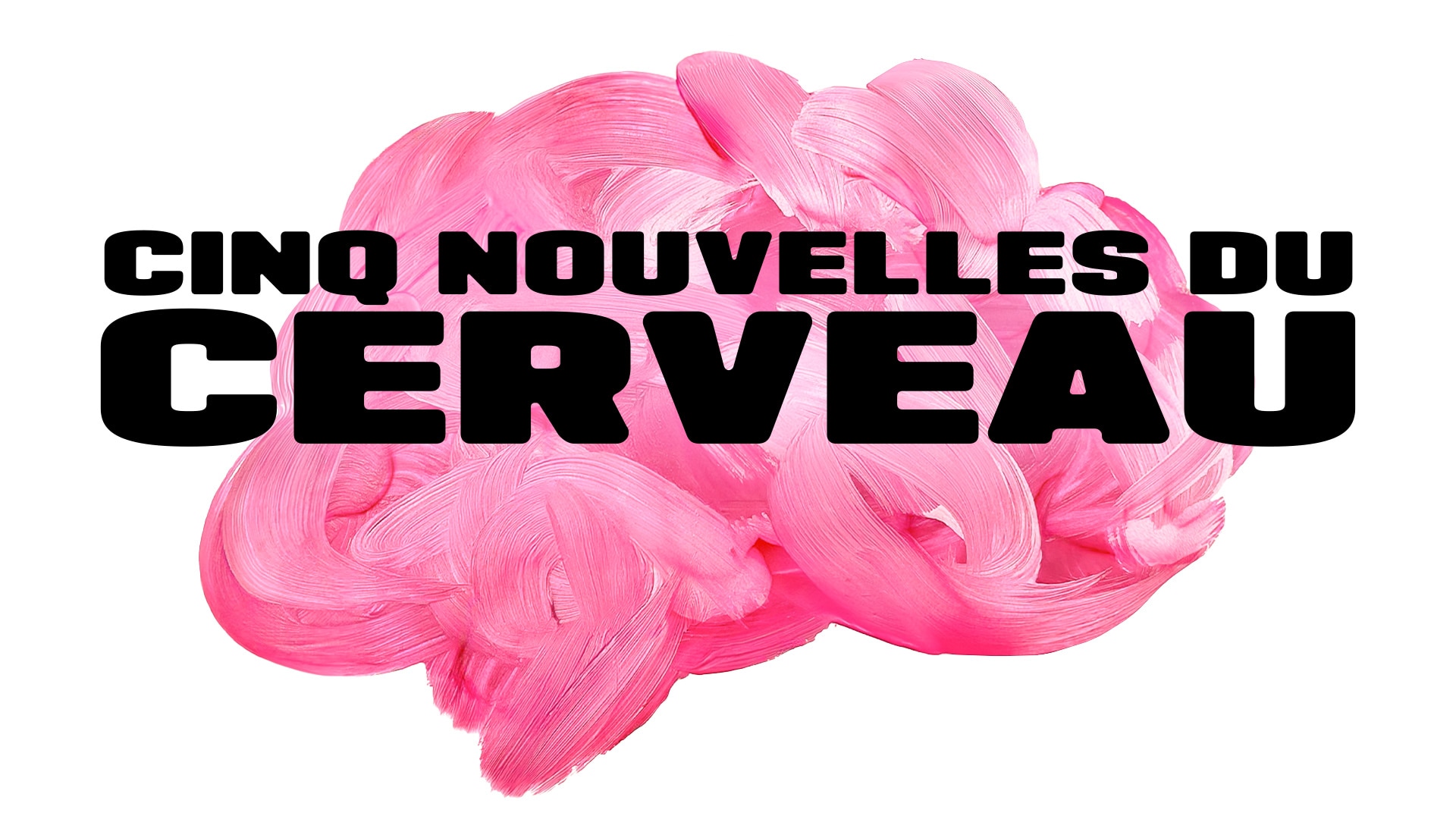 Cinq nouvelles du cerveau