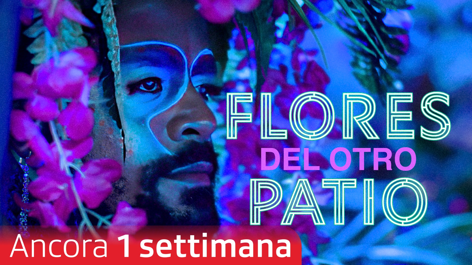 Flores del otro patio
