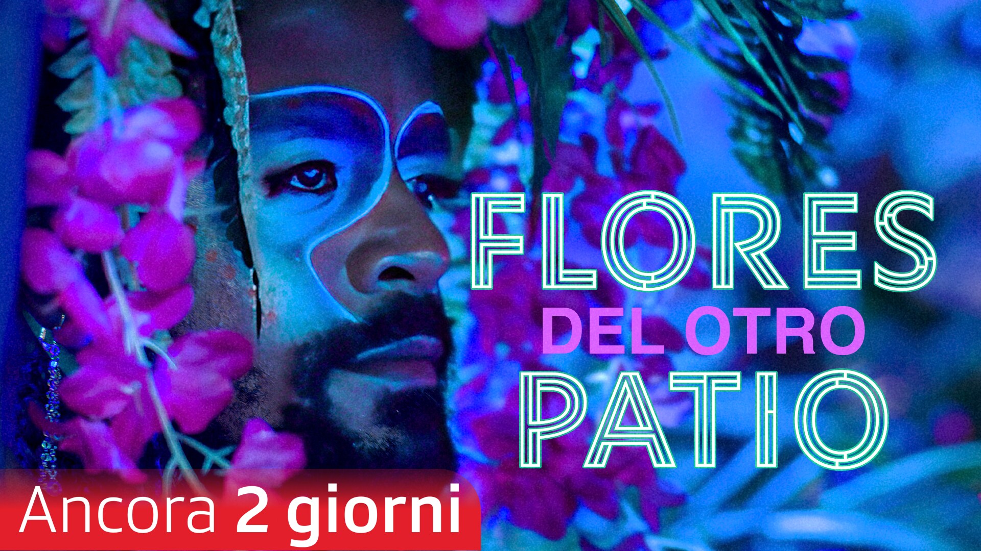 Flores del otro patio