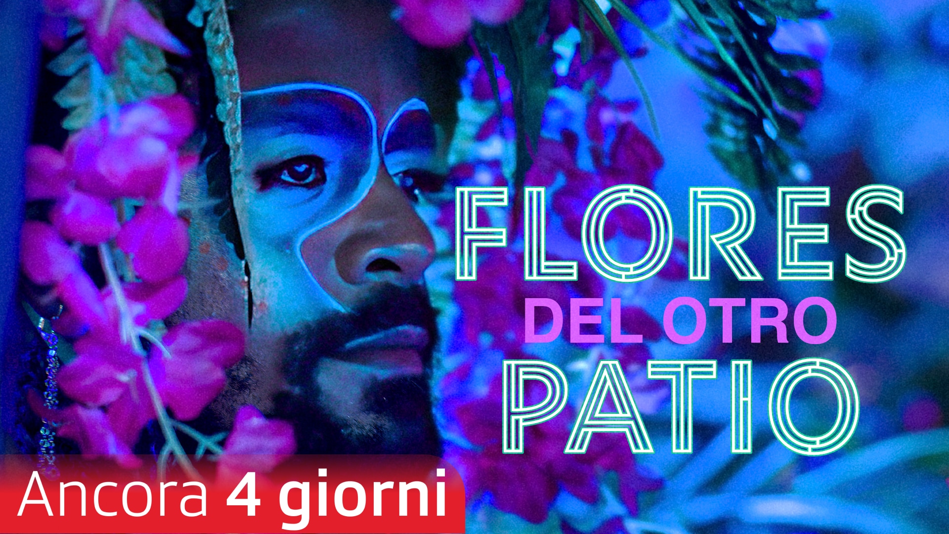 Flores del otro patio