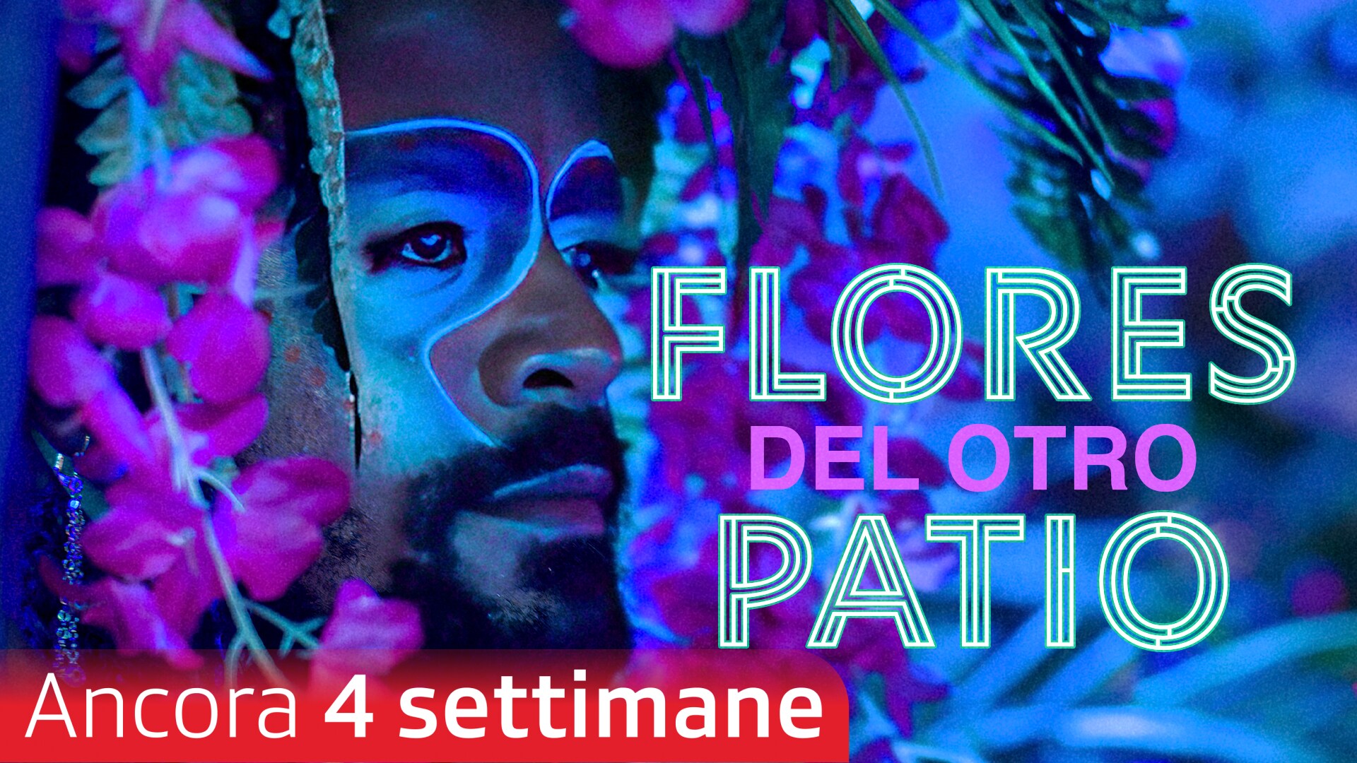 Flores del otro patio
