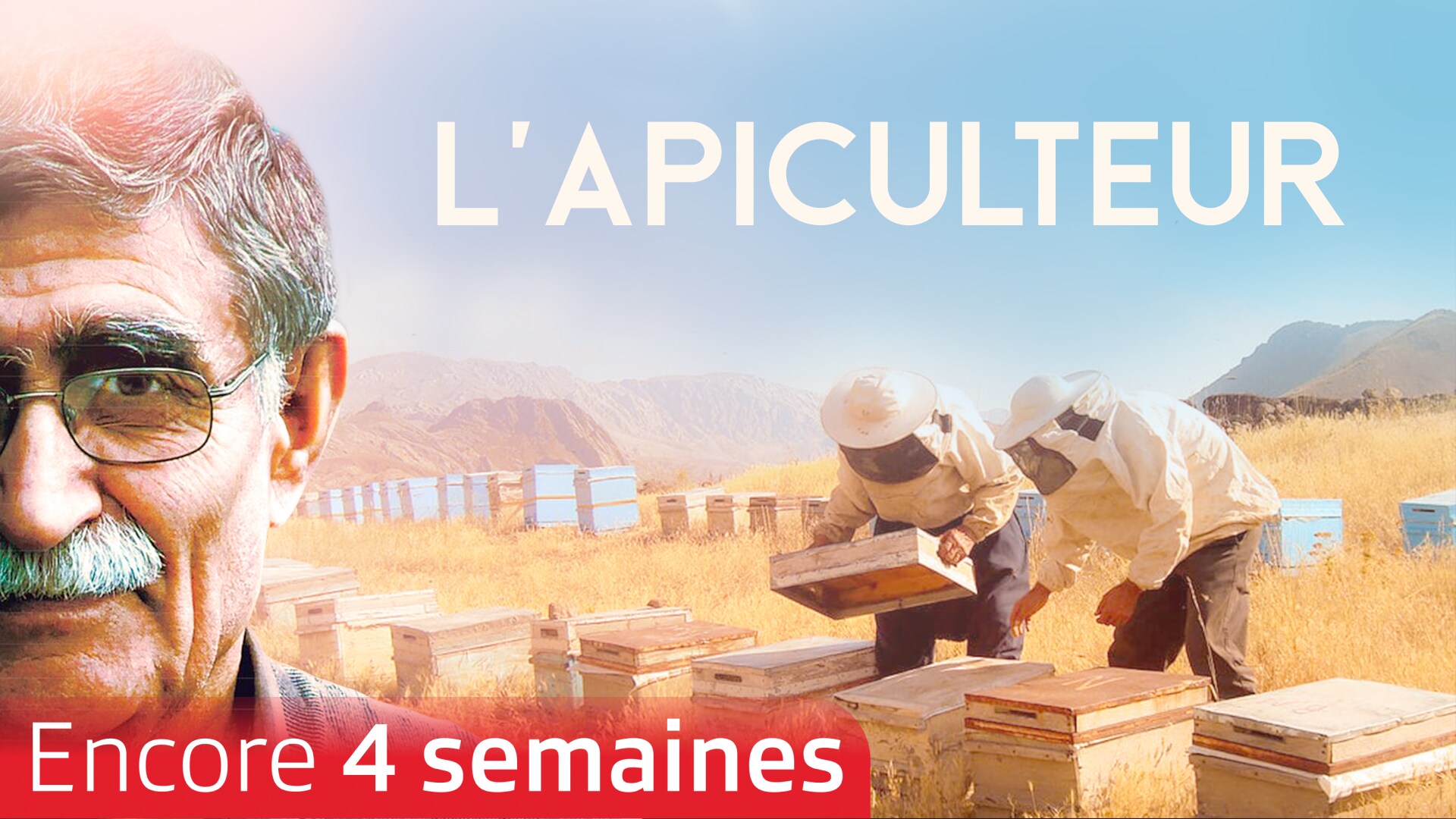 L'apiculteur