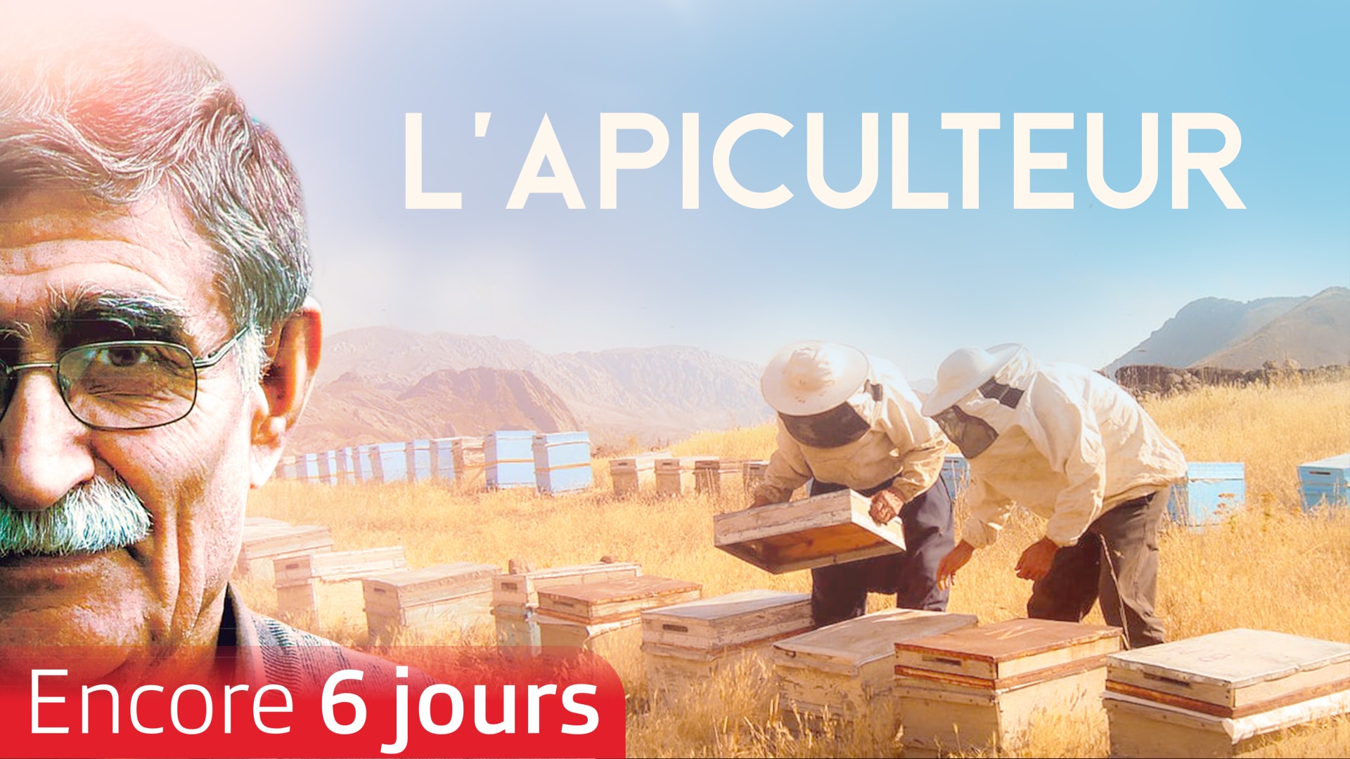 L'apiculteur