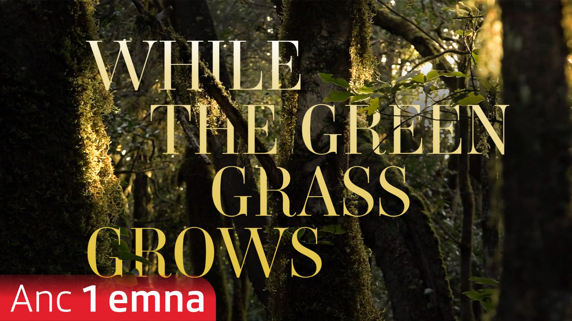 While the Green Gras Grows