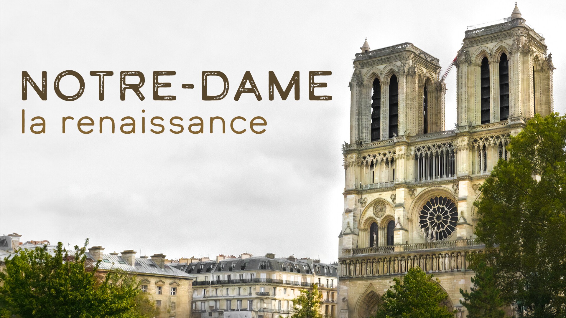 Notre-Dame, la renaissance