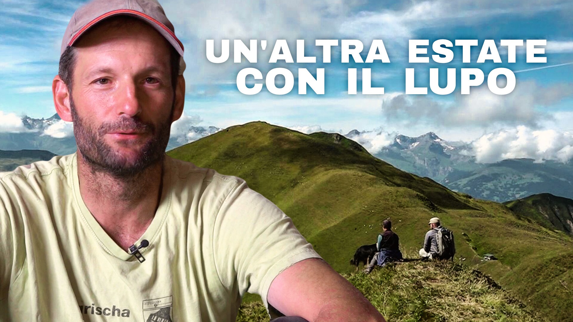 Un'estate con il lupo