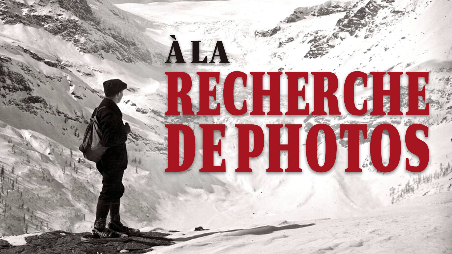 Les photographes Feuerstein - a la recherche de photos