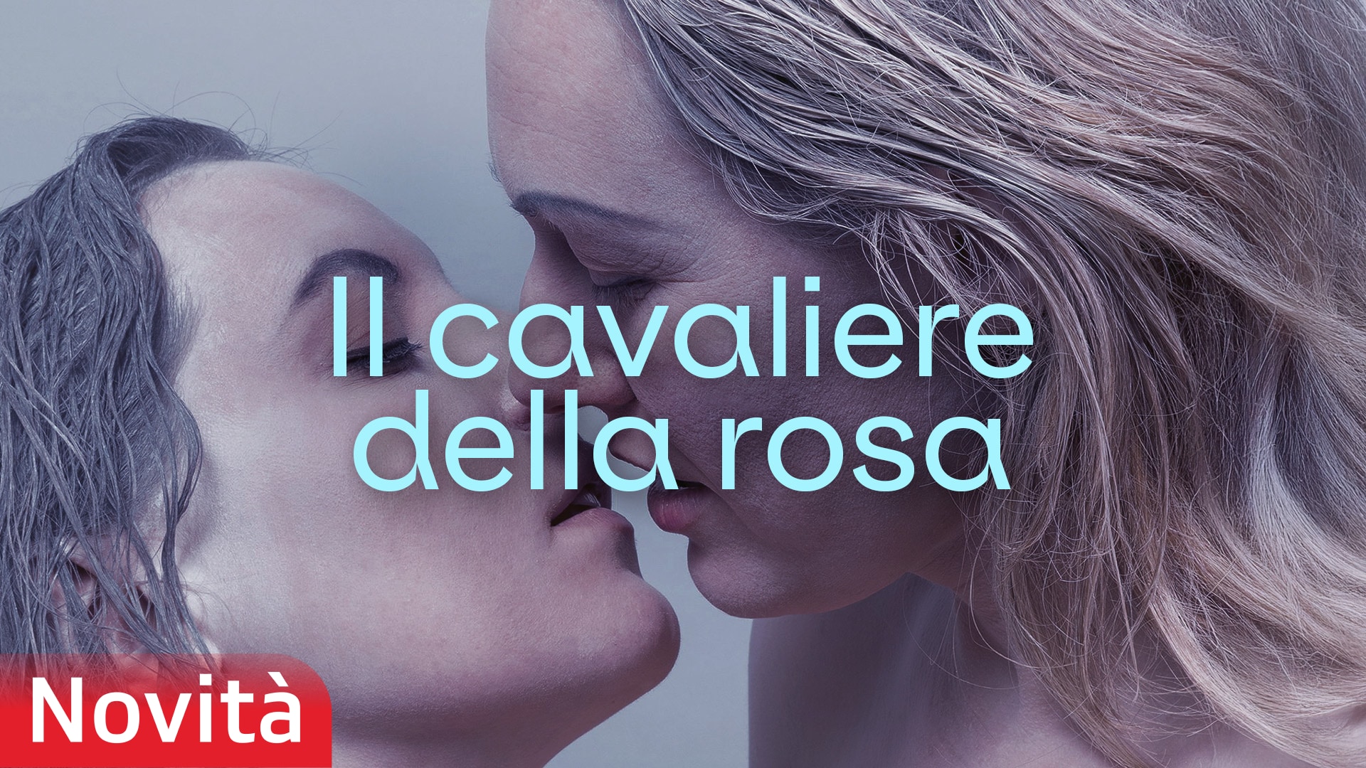 Il cavaliere della rosa