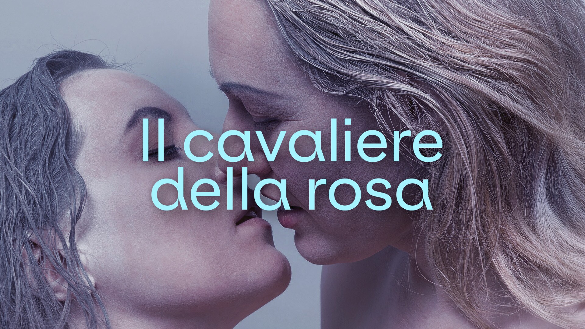 Il cavaliere della rosa