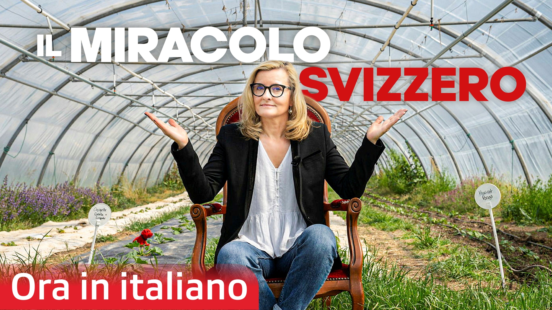 Il miracolo svizzero
