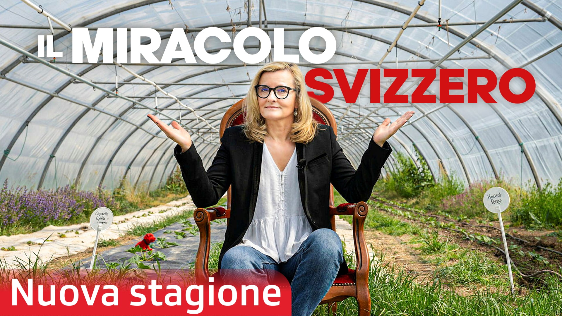 Il miracolo svizzero