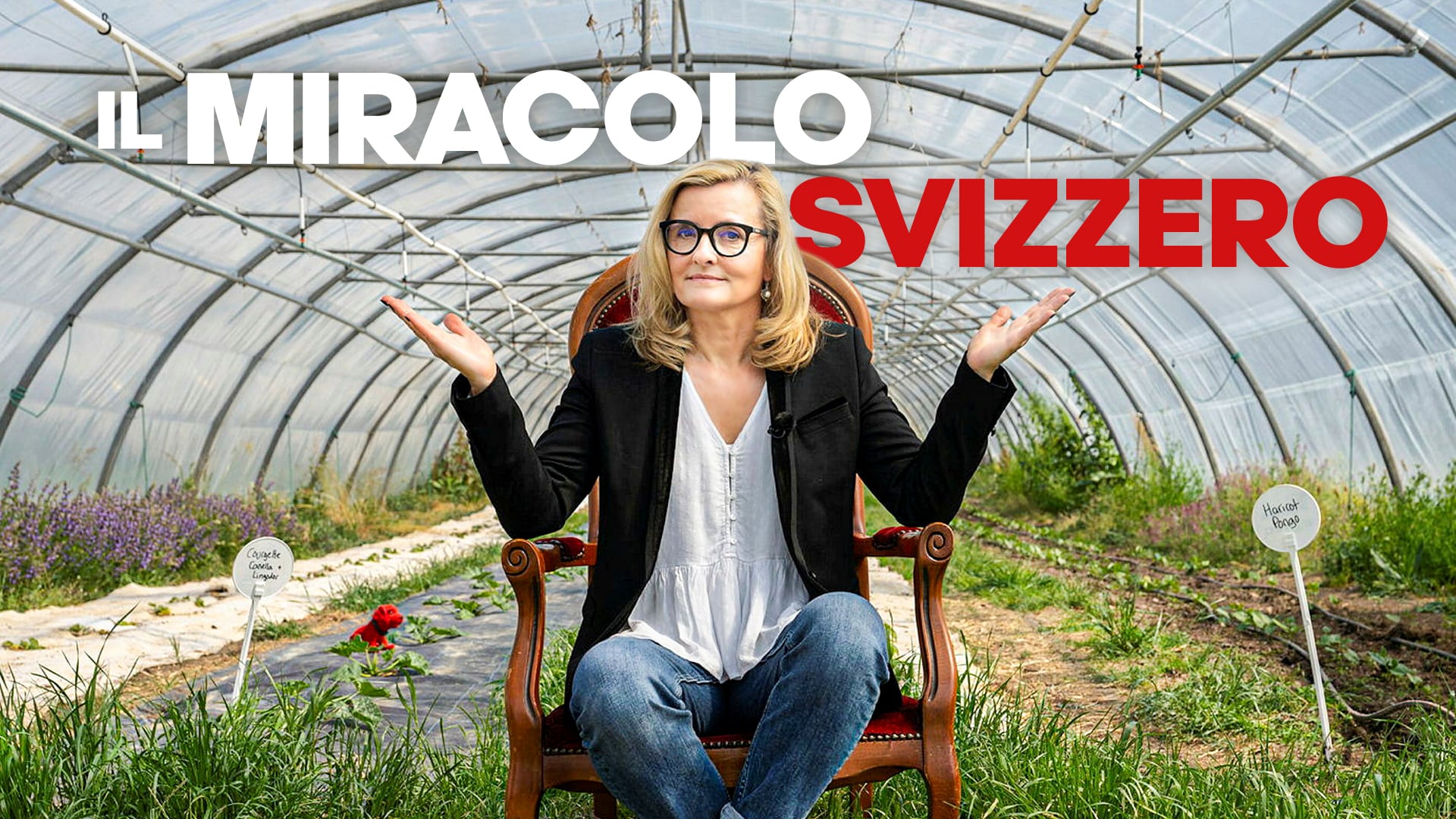 Il miracolo svizzero