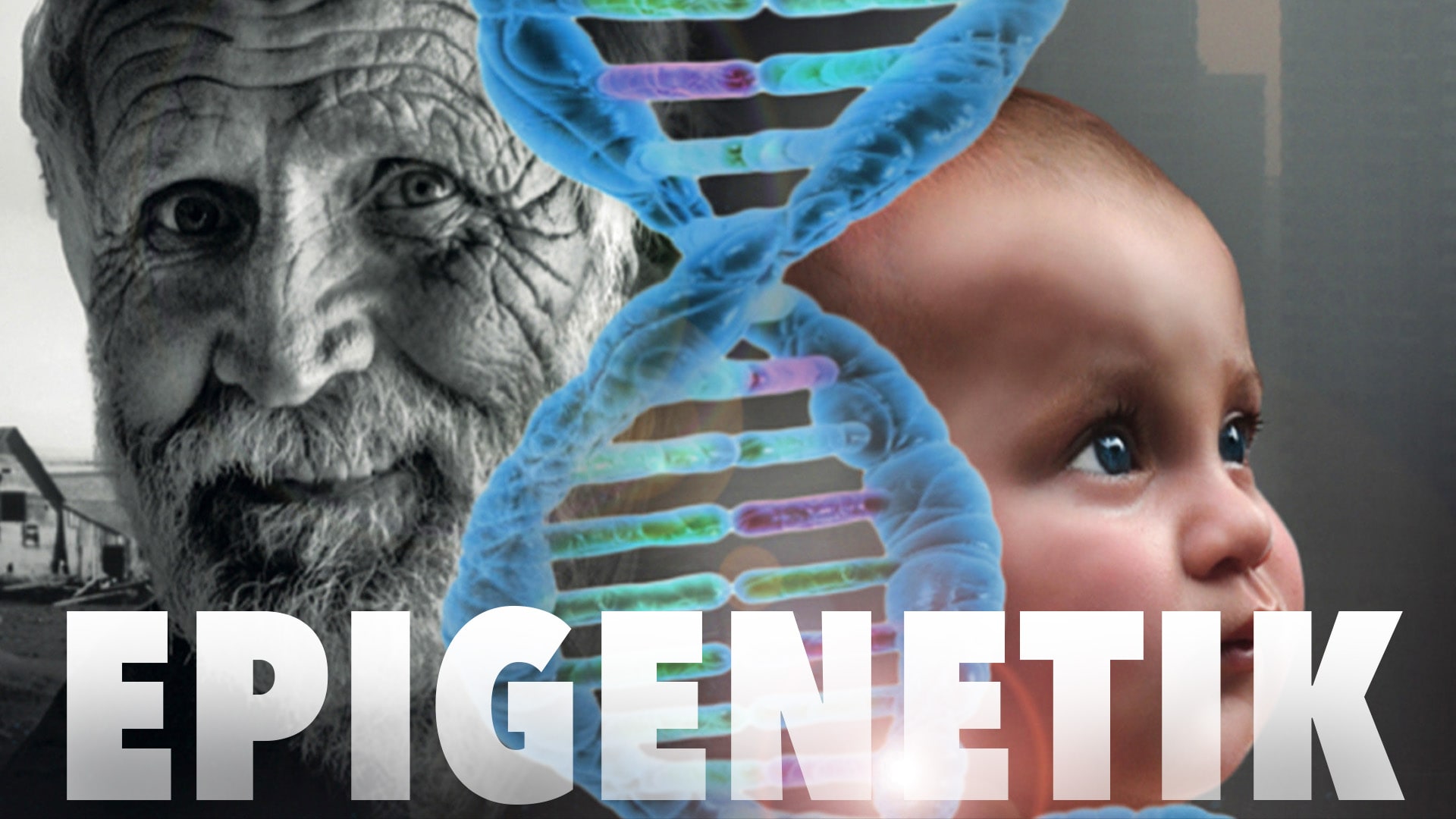 Epigenetik – Sind wir Gene oder Umwelt?