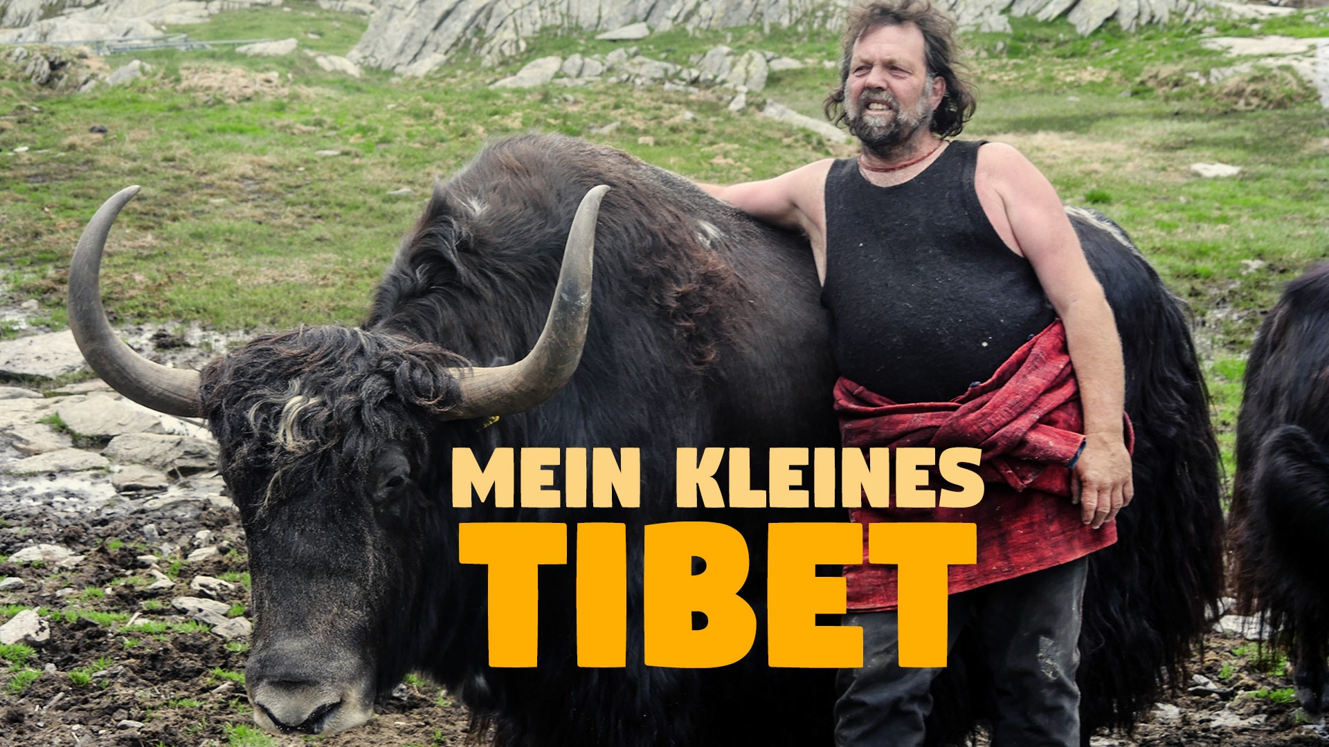 Mein kleines Tibet