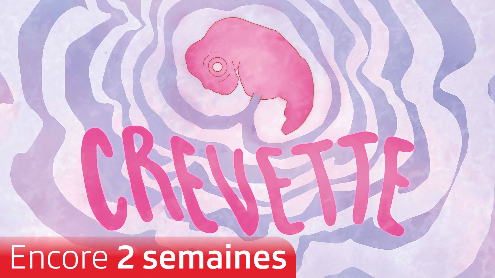 Crevette