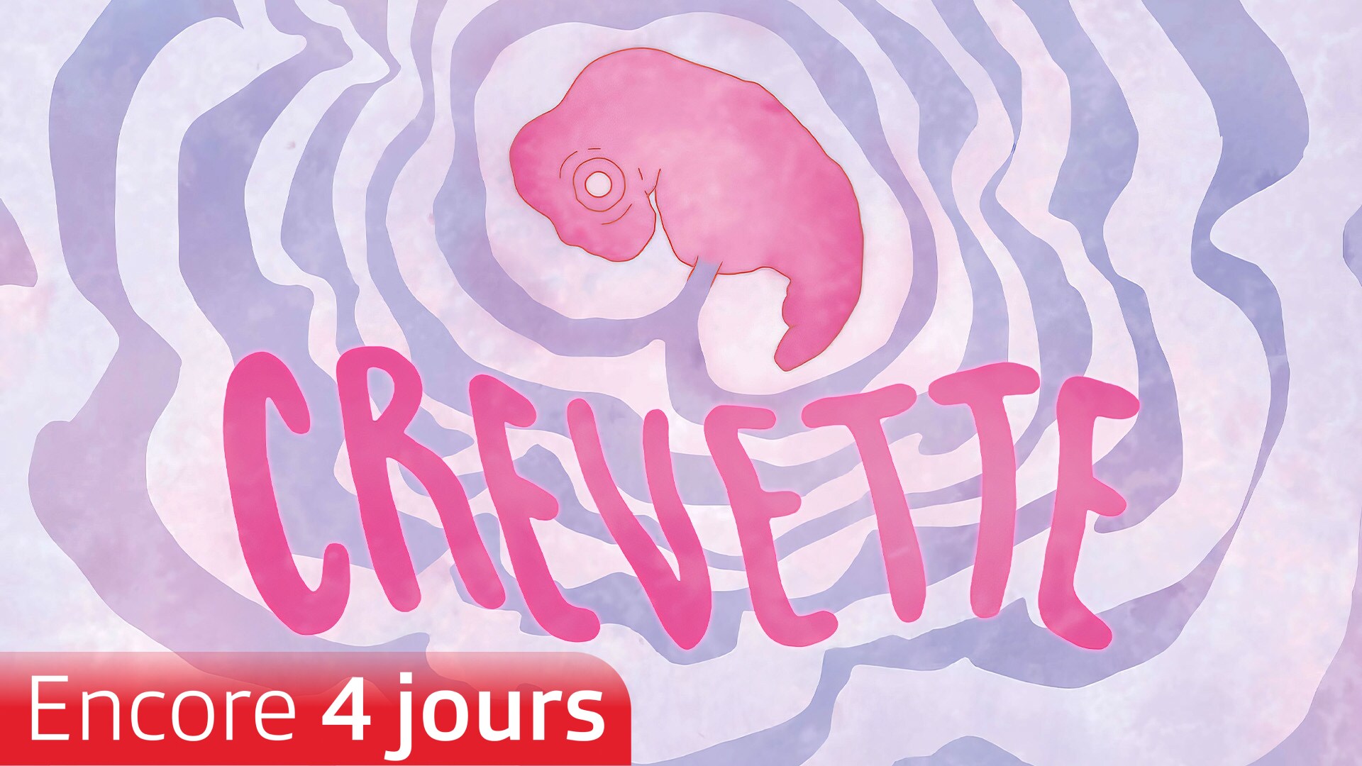 Crevette