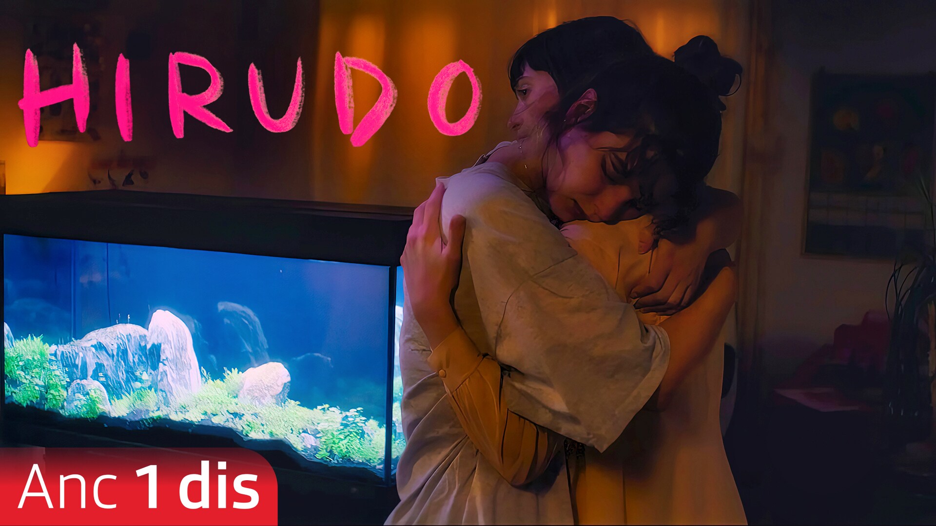 Hirudo