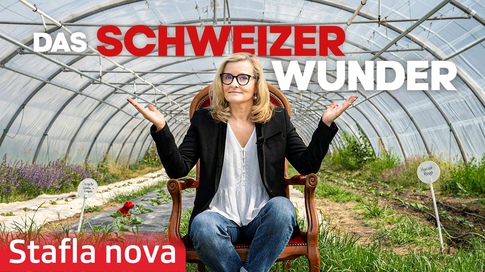 Das Schweizer Wunder