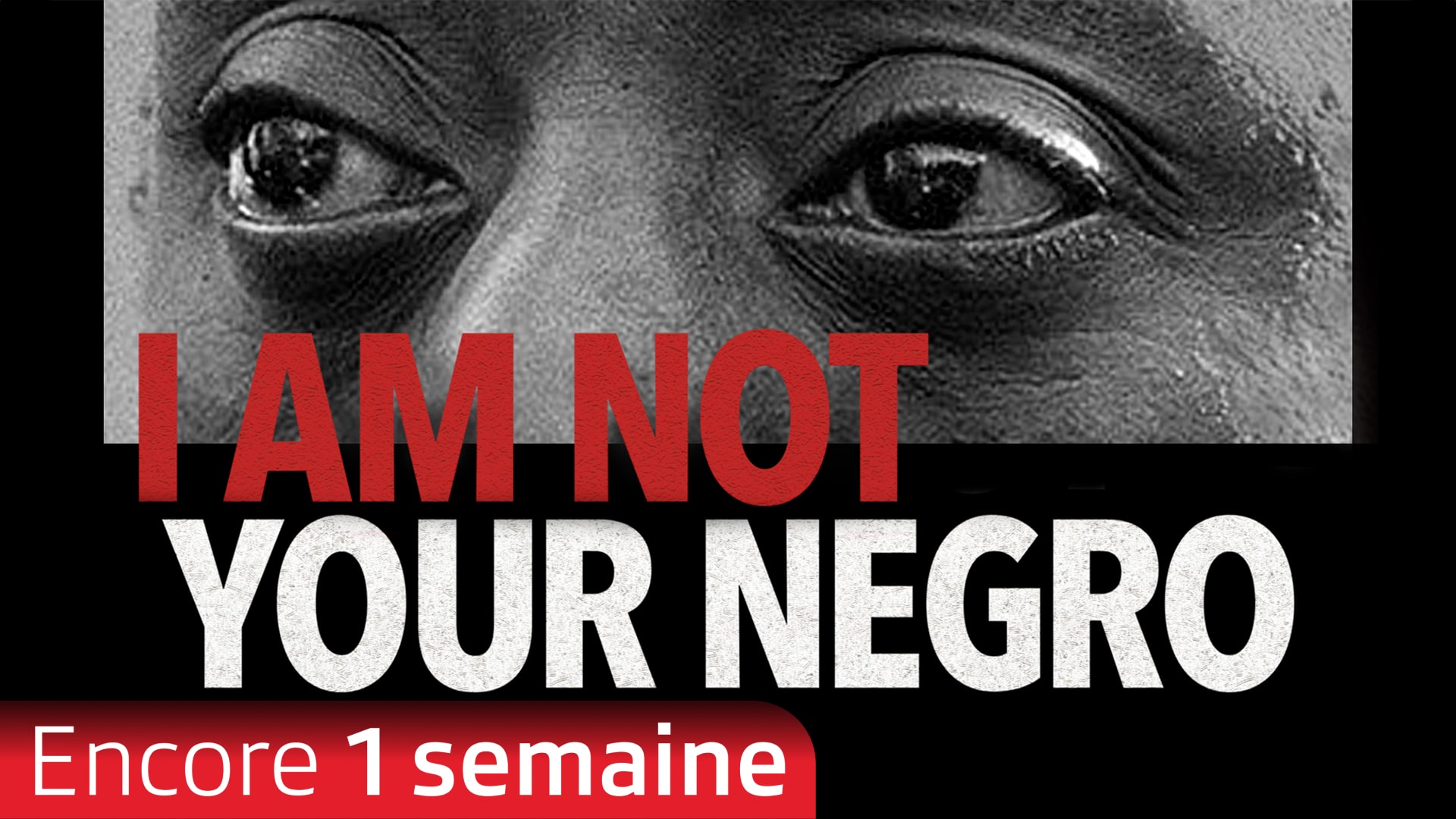 I Am Not Your Negro