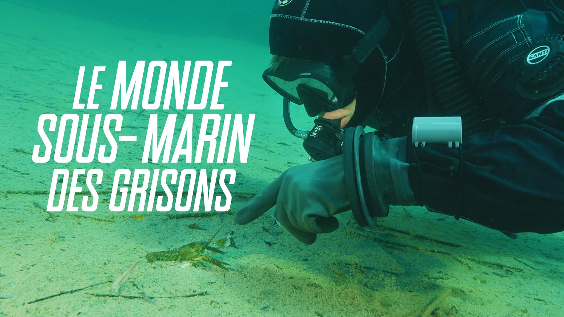 Le monde sous-marin des Grisons