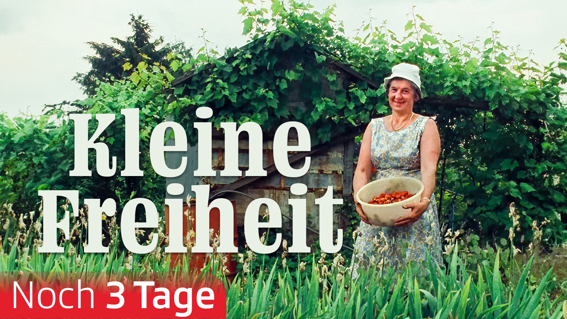 Kleine Freiheit