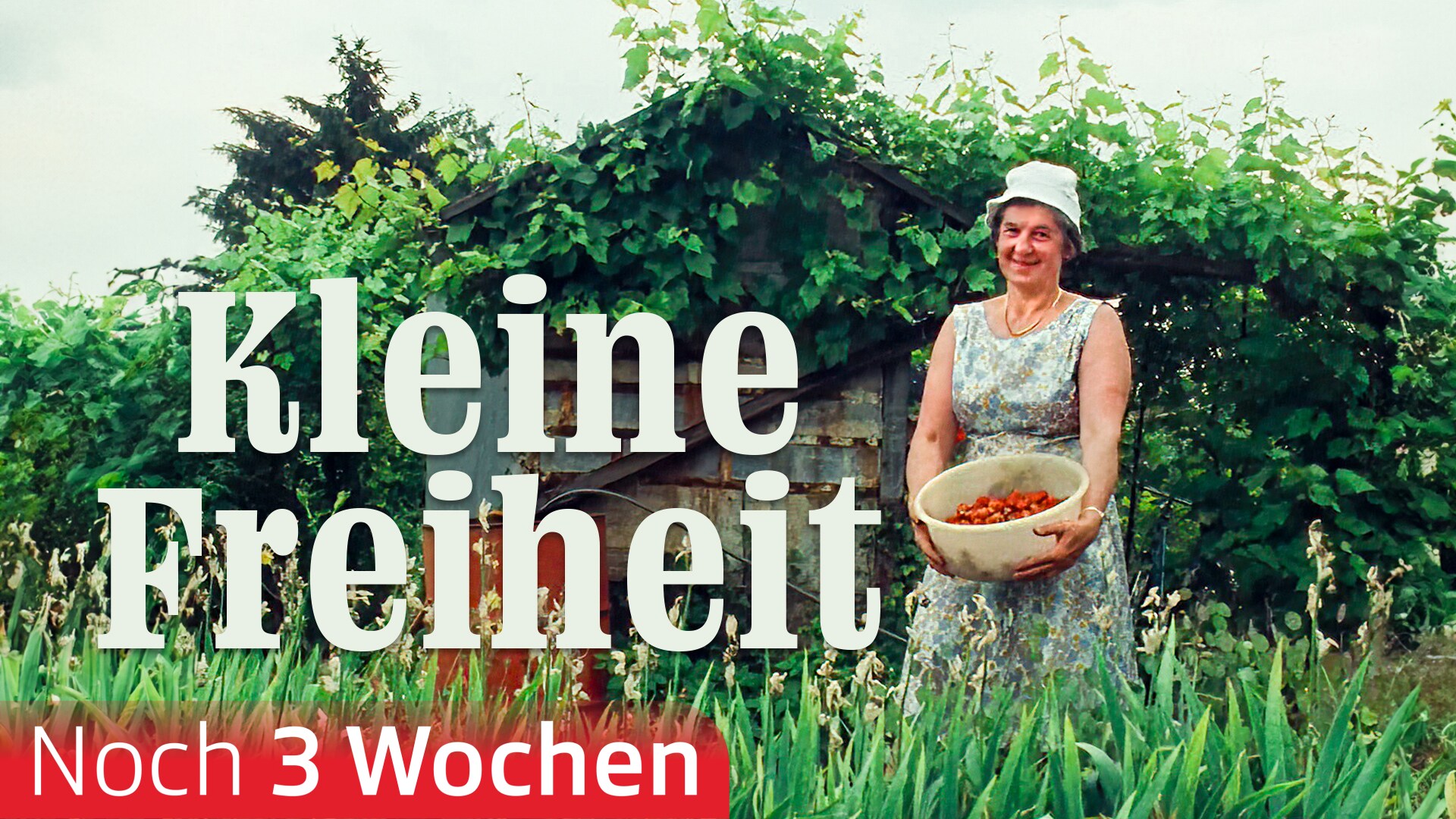 Kleine Freiheit