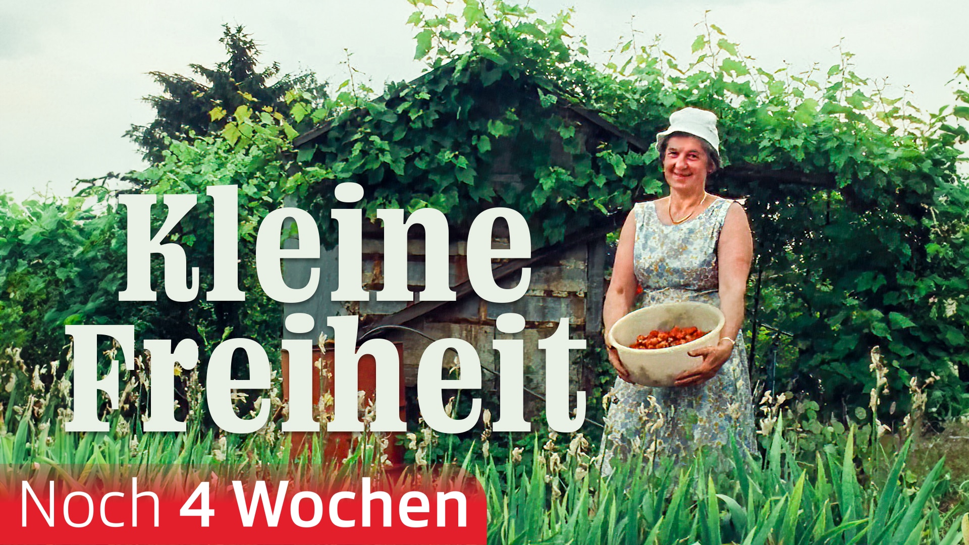 Kleine Freiheit