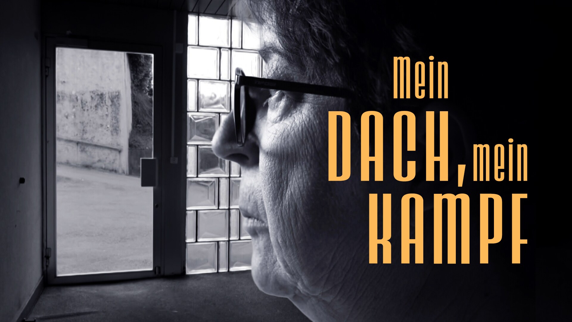 Mein Dach, mein Kampf