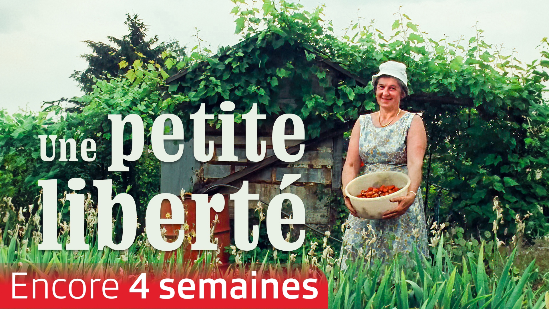 Une petite liberté