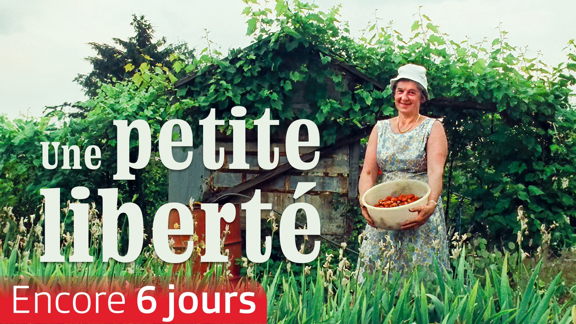 Une petite liberté