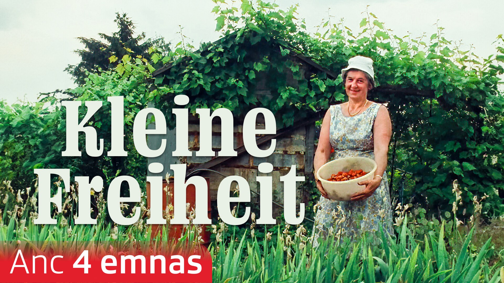 Kleine Freiheit