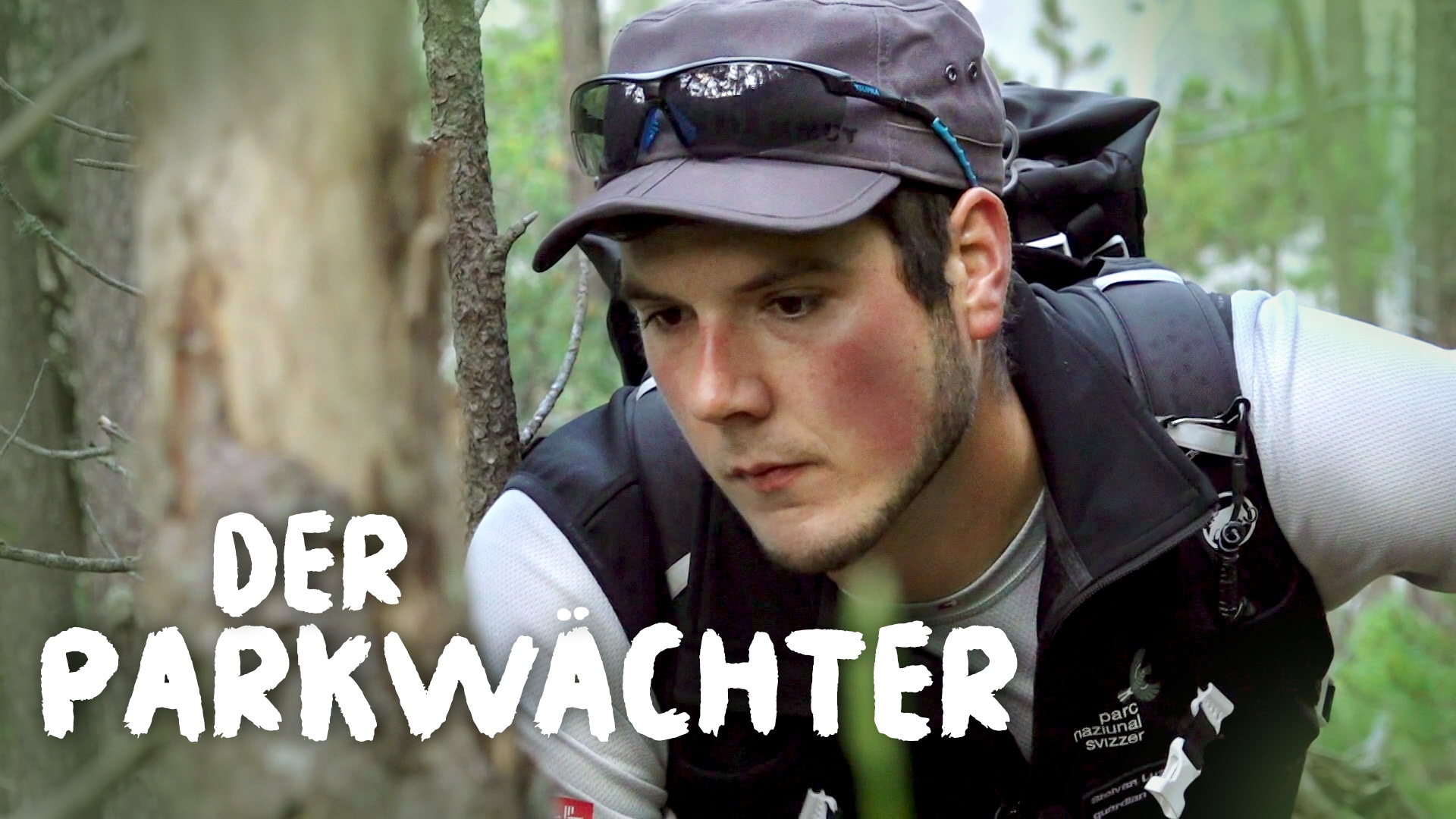 Der Parkwächter