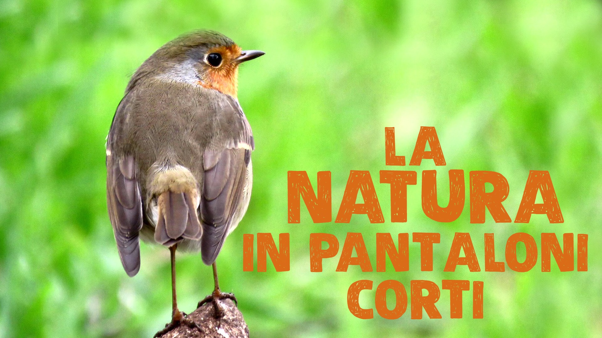 La natura in pantaloni corti