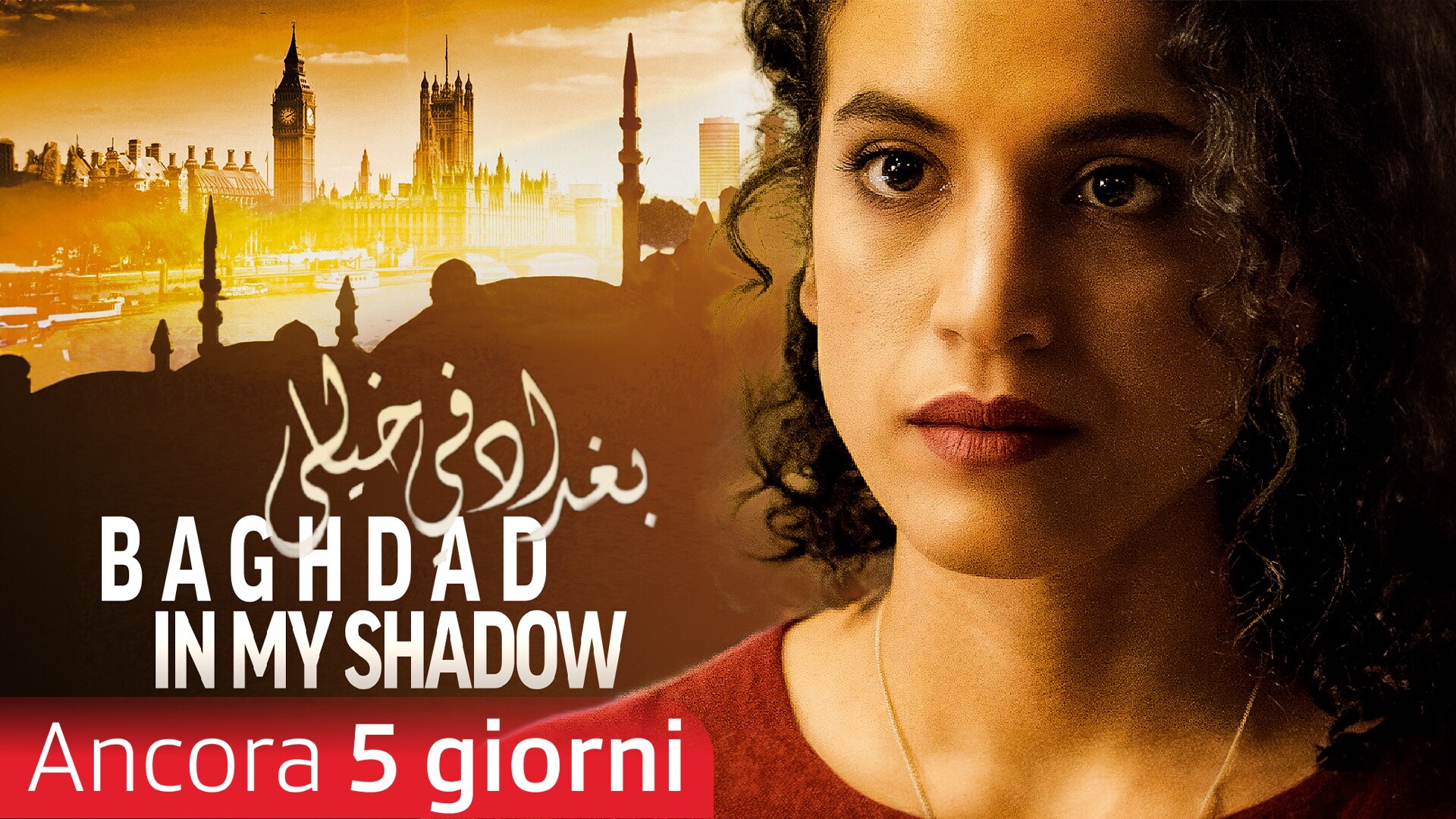Baghdad in my Shadow