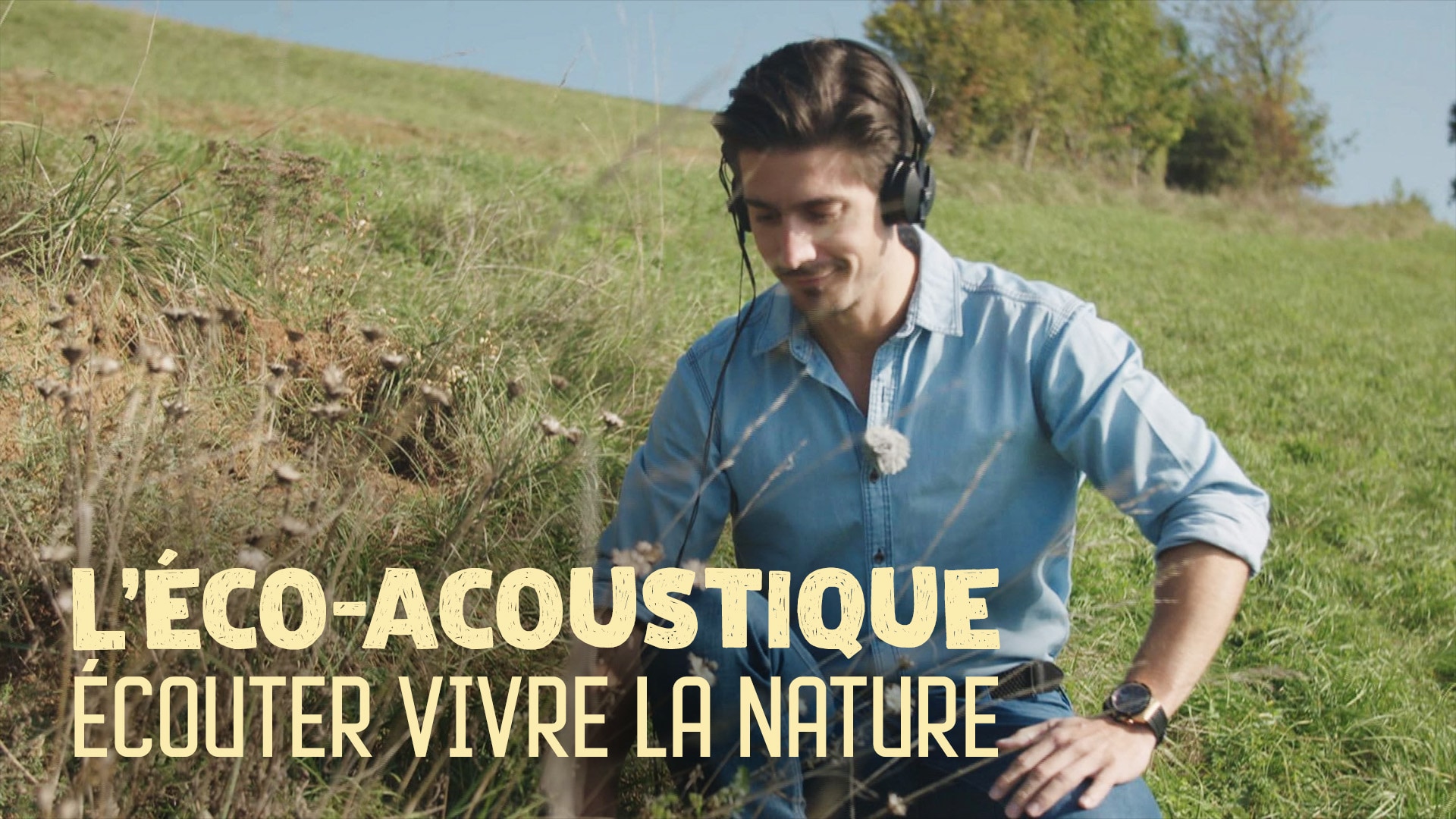 L'éco-acoustique : écouter vivre la nature