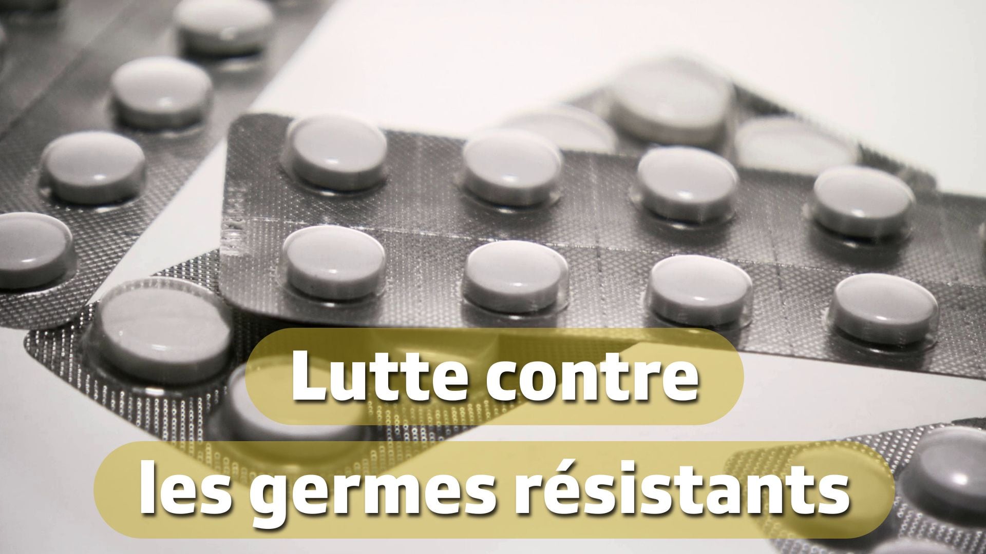 Lutte contre les germes résistants