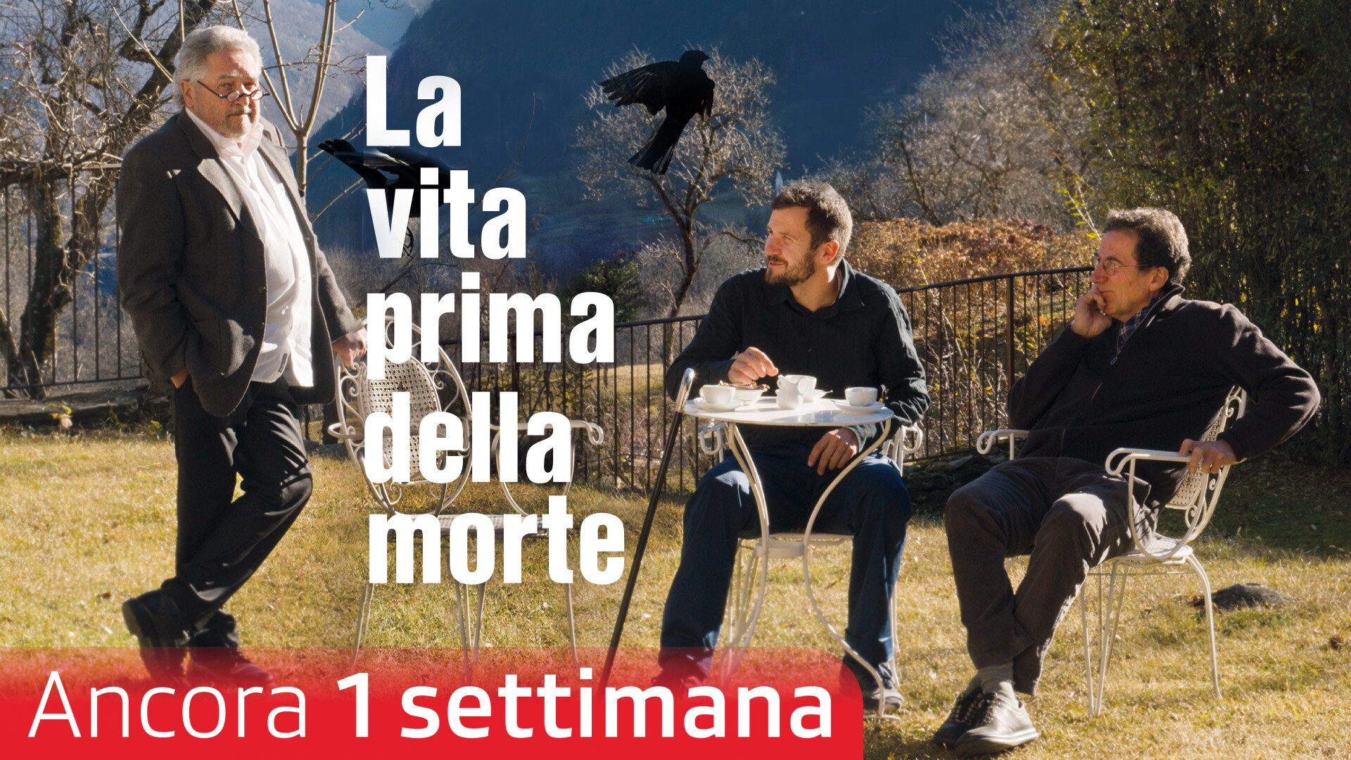 La vita prima della morte