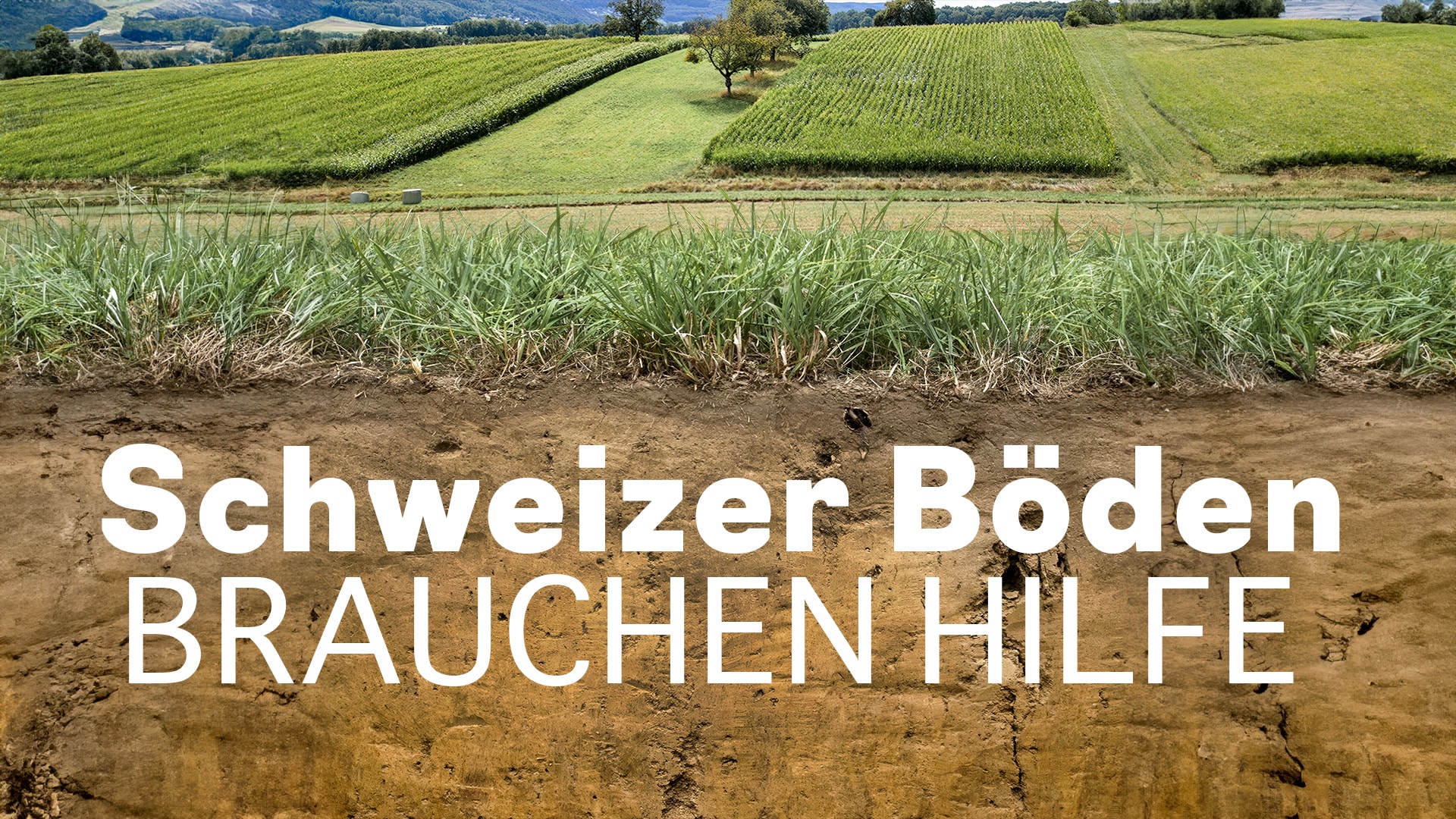 Schweizer Böden brauchen Hilfe