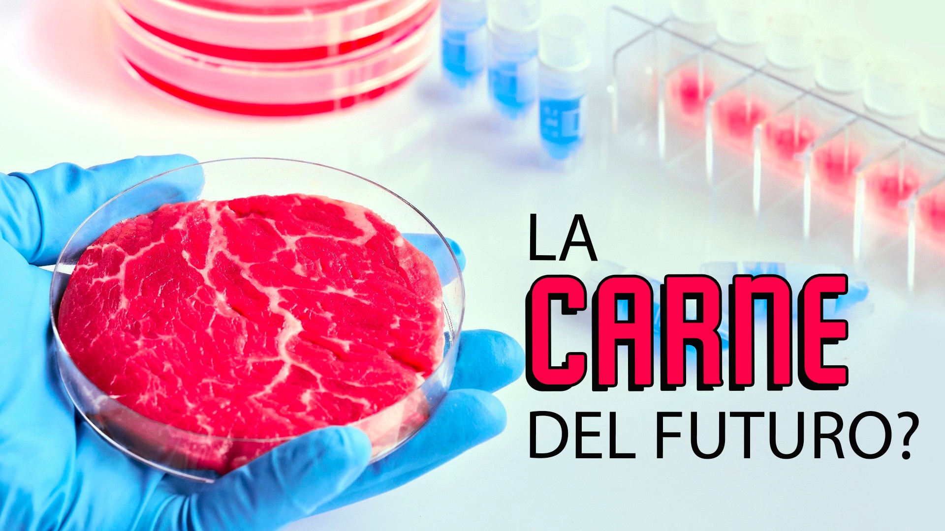 La carne del futuro?