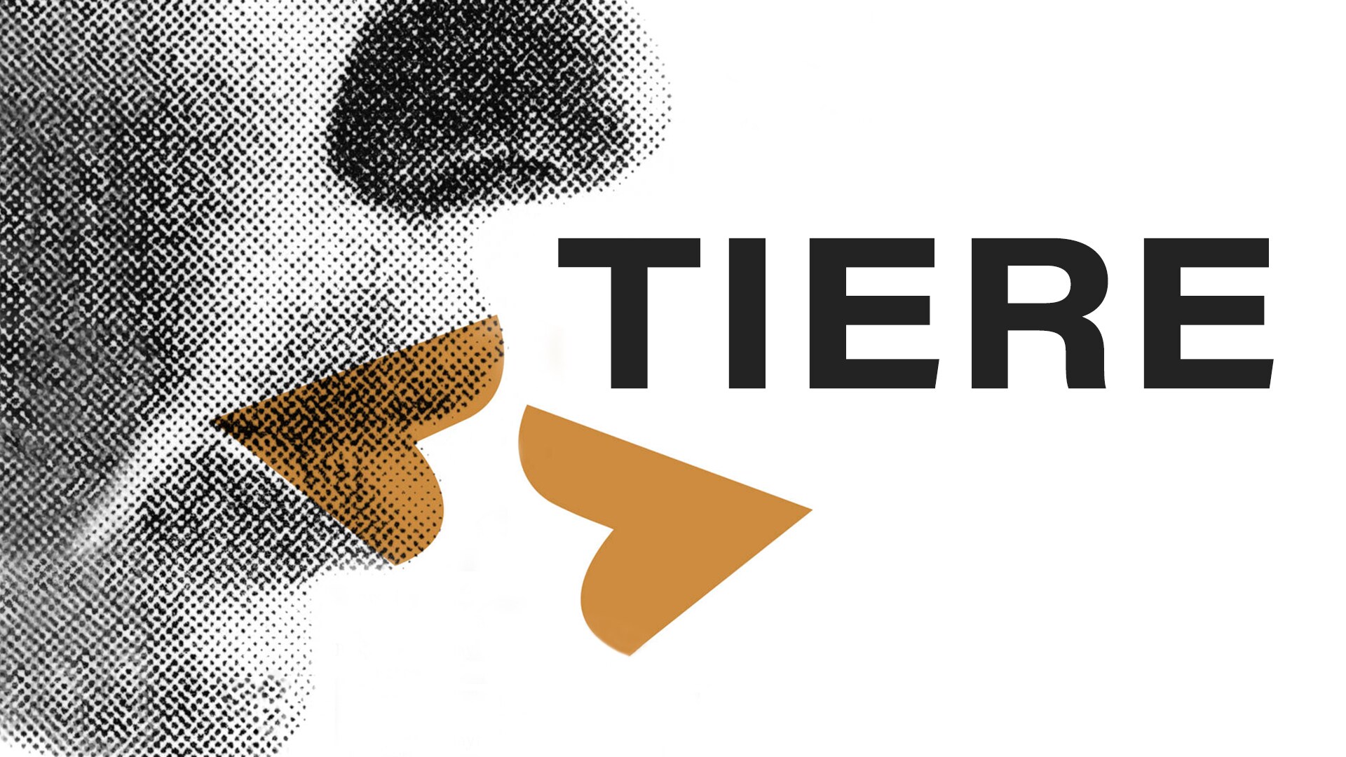 Tiere