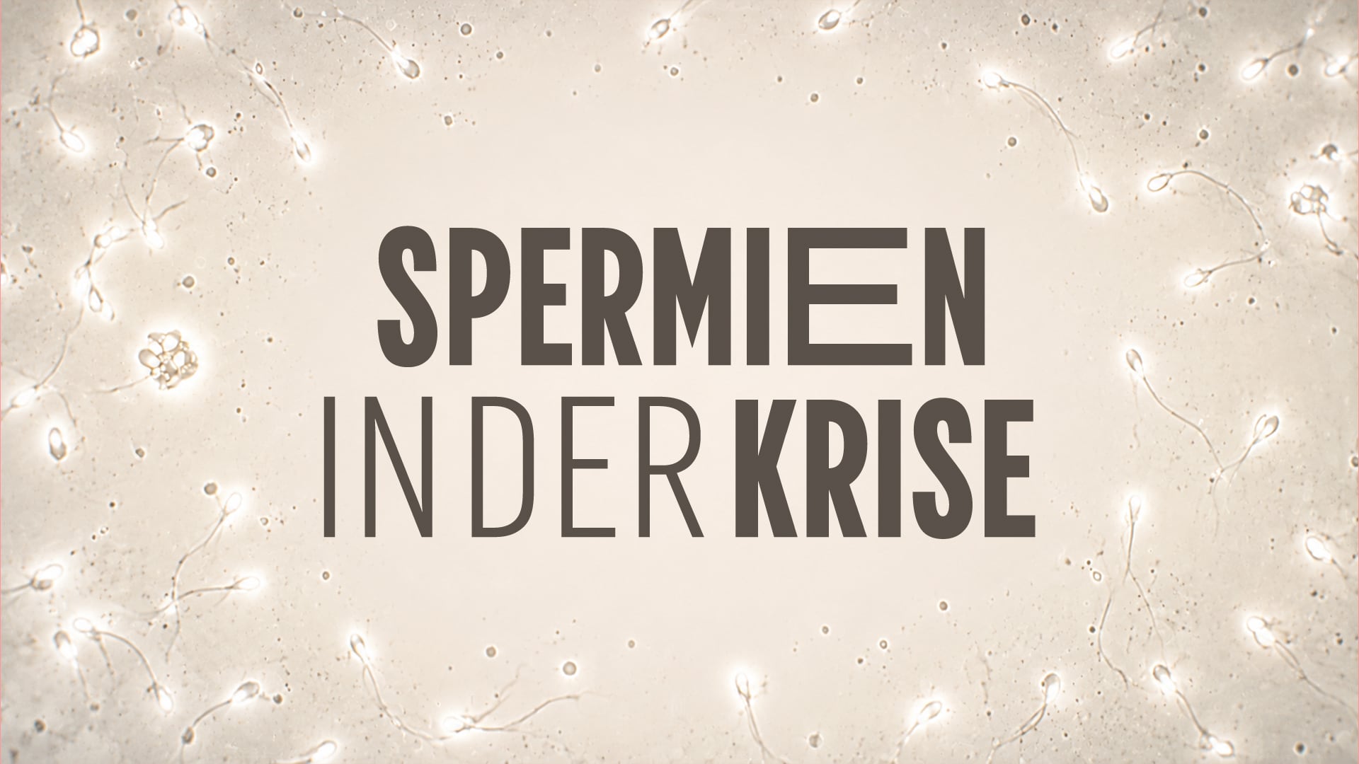 Spermien in der Krise